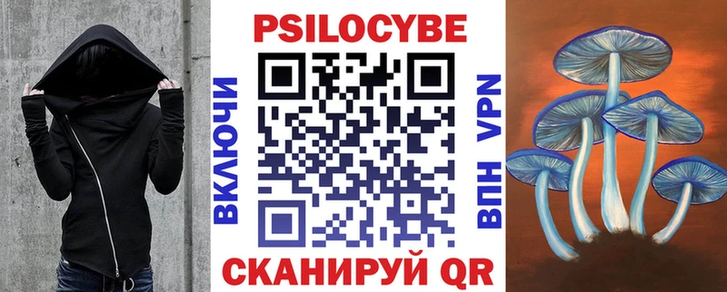 купить наркотики сайты  Новый Уренгой  Галлюциногенные грибы мухоморы 