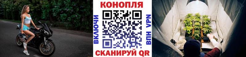 Бошки Шишки семена  купить  цена  Новый Уренгой 